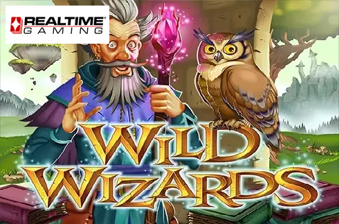 Wild Wizards